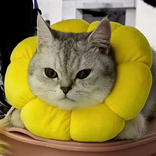 Регулируемый чокер на солнечной энергии, плавательный круг для шеи, подсолнух, кот, можно грызть