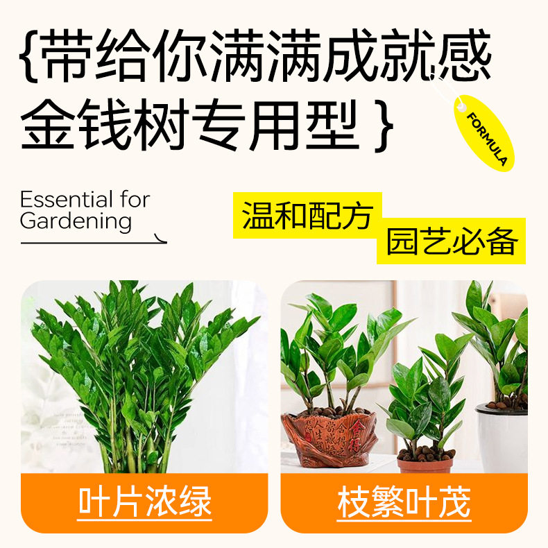 语悦花间金钱树专用免稀释直喷营养液家用养花大盆栽绿植花卉花肥,淘宝优惠券,粉丝福利购,淘宝优惠卷
