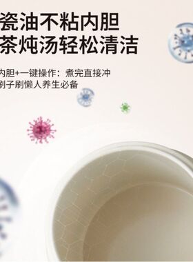 女士一人养生杯2025新养生壶炖煮一体办公室小型工位烧水陶瓷便携