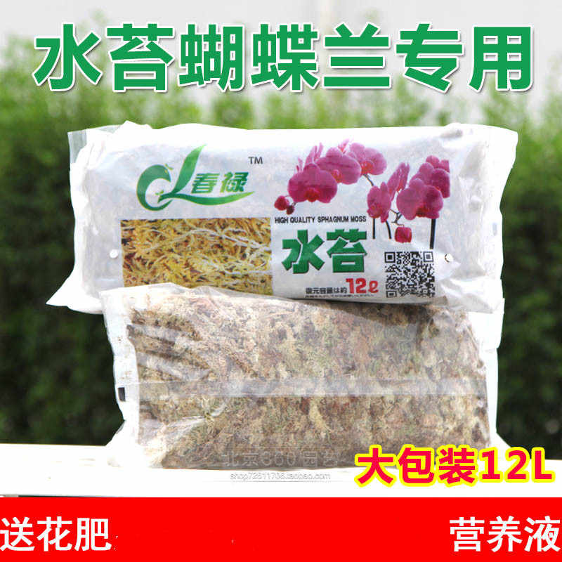 保湿苔藓 新人首单立减十元 21年8月 淘宝海外