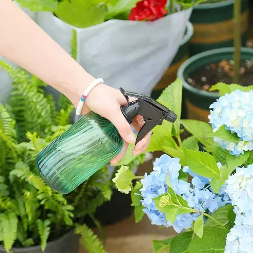 Чайник, электрораспылитель для домашнего использования, распылитель