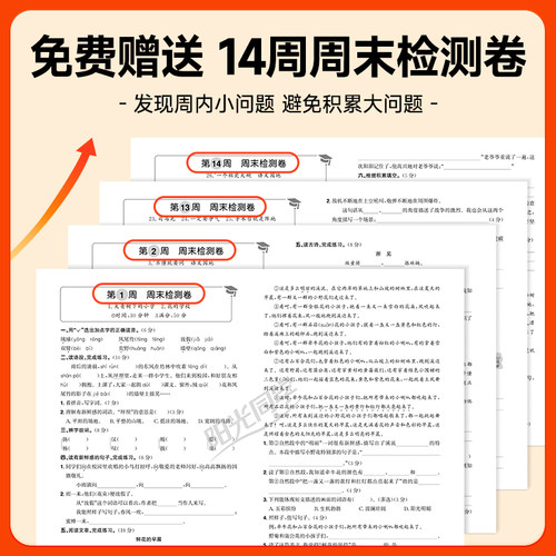 【附赠周末小测卷】26秋版阳光同学提优新卷小学一二三四五六年级上下册语文数学英语人教北师苏教版单元期中期末卷教材同步检测卷 - 图0