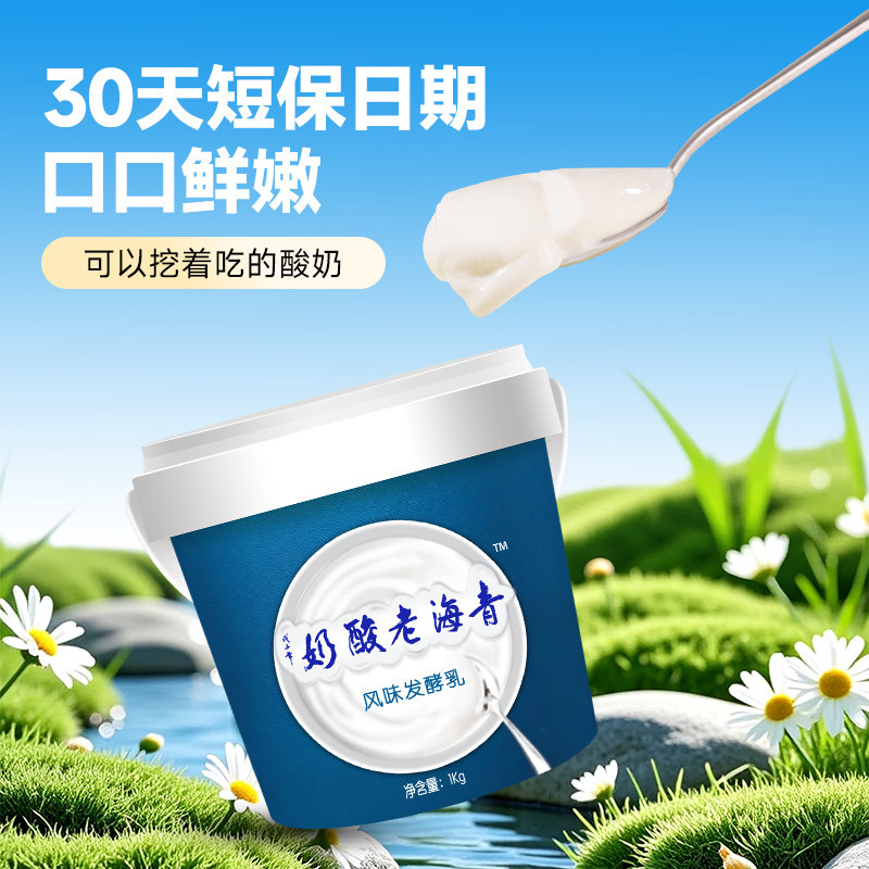 青藏人家  青海小西牛老酸奶大桶装原老味酸奶新鲜日期1kg*2桶