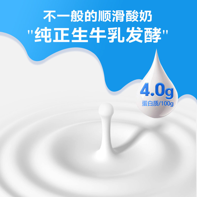 青藏人家  青海小西牛老酸奶大桶装原老味酸奶新鲜日期1kg*2桶