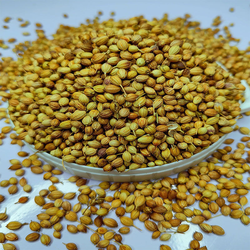 香菜籽芫荽子松须菜籽胡荽芫茜孑食用粉香料调料大全散装,淘宝优惠券,粉丝福利购,淘宝优惠卷