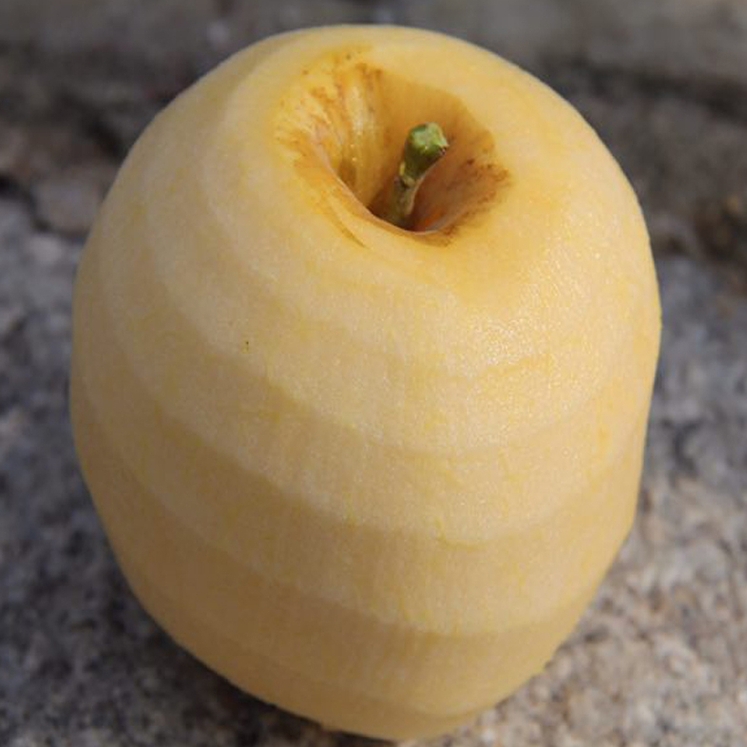 山东烟台霜降黄金奶油富士苹果一二级5斤新鲜水果金帅红富士 - 图0