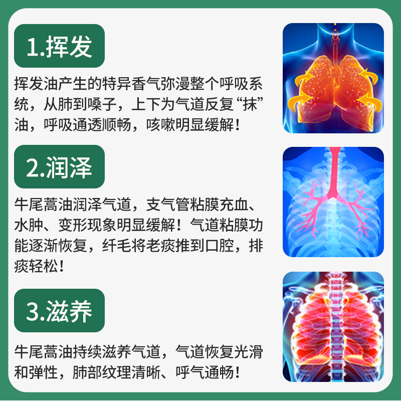 小医生牛尾蒿油软胶囊痰多胸闷慢性支气管炎胸闷气喘降气平喘 - 图1