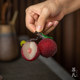 ແບບ Douyin ຂອງ Qi ສາມາດລ້ຽງສັດລ້ຽງຊາລີຈີ່ທີ່ສ້າງສັນ