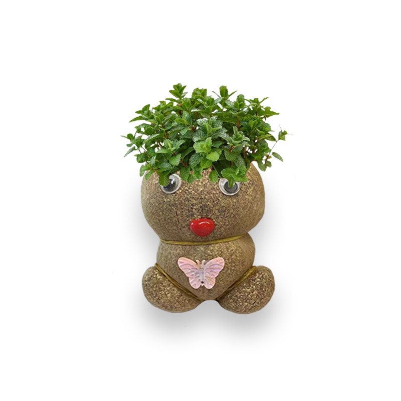 新款开花结果娃娃草头娃娃网红同款桌面绿植易活盆栽培养儿童兴趣,淘宝优惠券,粉丝福利购,淘宝优惠卷