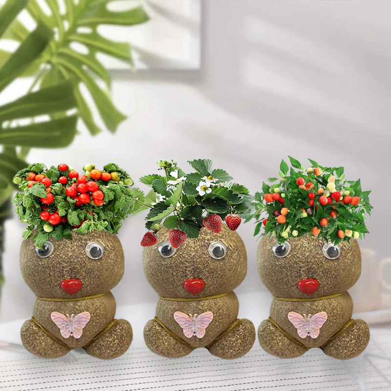 新款开花结果娃娃草头娃娃网红同款桌面绿植易活盆栽培养儿童兴趣,淘宝优惠券,粉丝福利购,淘宝优惠卷