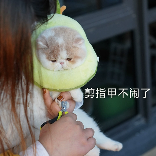 Кошка стыд шея кружок Элизабет кошка мягкая ткань для ошейника.