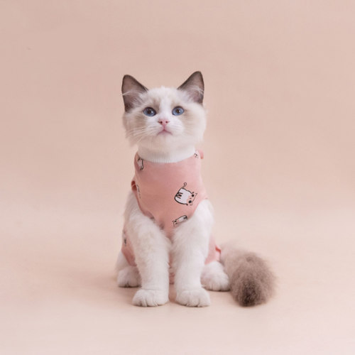 猫咪绝育服 公猫母猫纯棉透气手术服 断奶薄款防掉毛术后防舔衣服 - 图0
