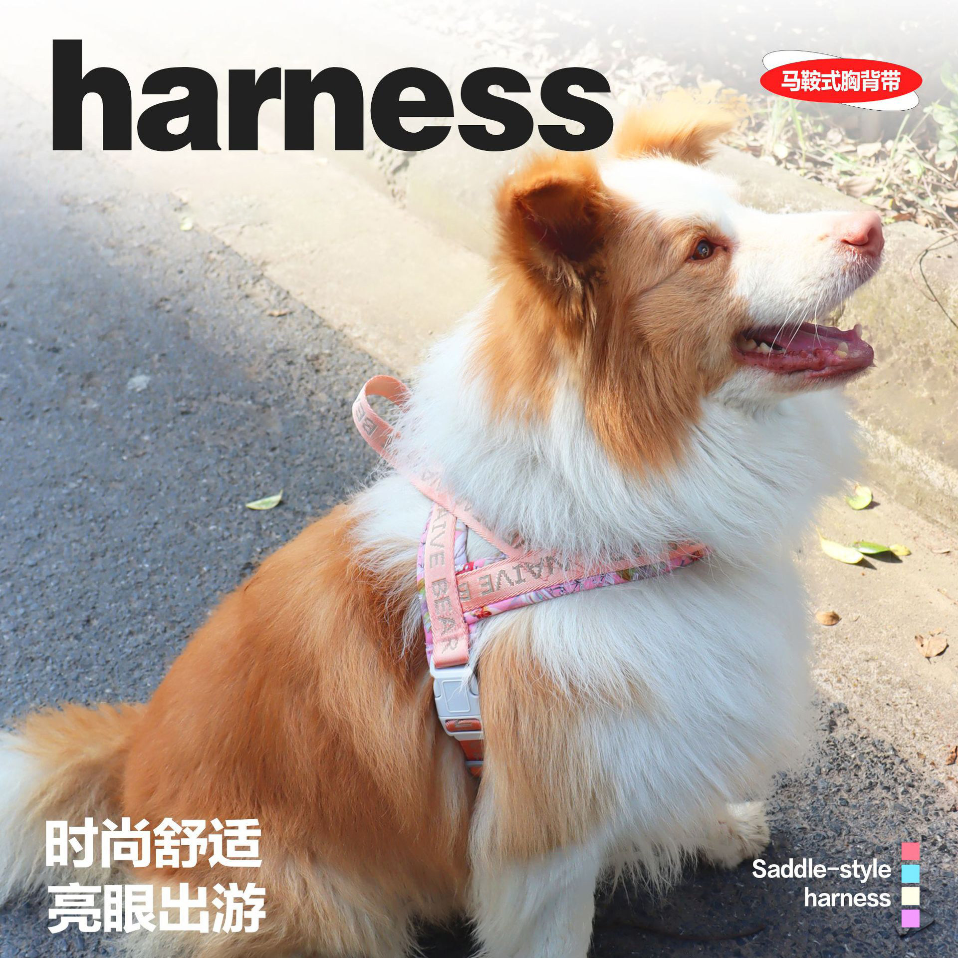 狗狗马鞍式胸背带中大型犬博美柯基柴犬边牧宠物牵引绳伸缩牵引绳,淘宝优惠券,粉丝福利购,淘宝优惠卷