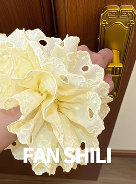 蕾丝纯棉刺绣发圈显脸小精致