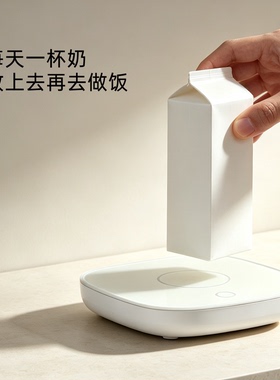 小型多功能电炖杯煮早餐养生