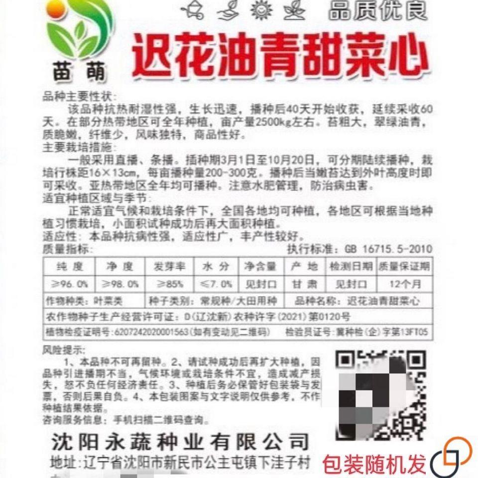 油青甜菜种子四VDV心季播阳台种菜籽广东菜心菜苔蔬菜菜种子夏播