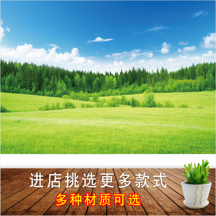 大草原墙贴画绿色草地风景画蓝天白云自然景色海报壁画宿舍壁纸