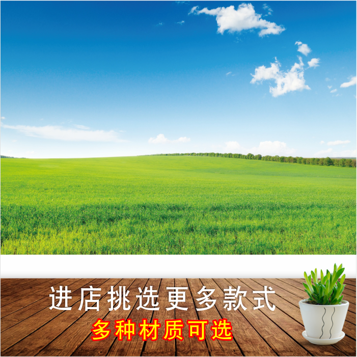 大草原墙贴画绿色草地风景画蓝天白云自然景色海报壁画宿舍壁纸