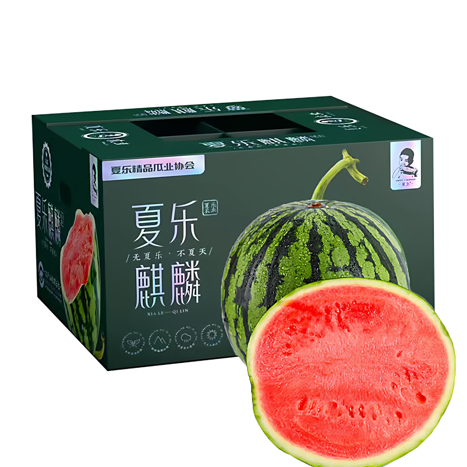 夏乐西瓜1颗新鲜水果麒麟西瓜山西运城夏县夏乐西瓜,淘宝优惠券,粉丝福利购,淘宝优惠卷