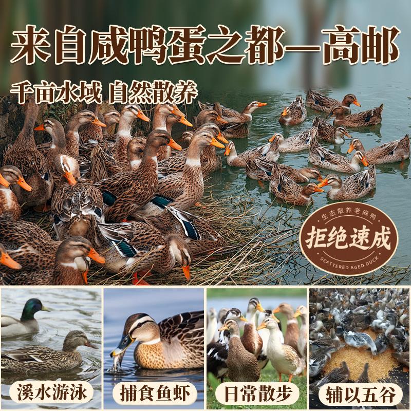 高邮双黄咸鸭蛋正宗流油整箱官方旗舰店正品高邮咸鸭蛋熟盐咸蛋黄