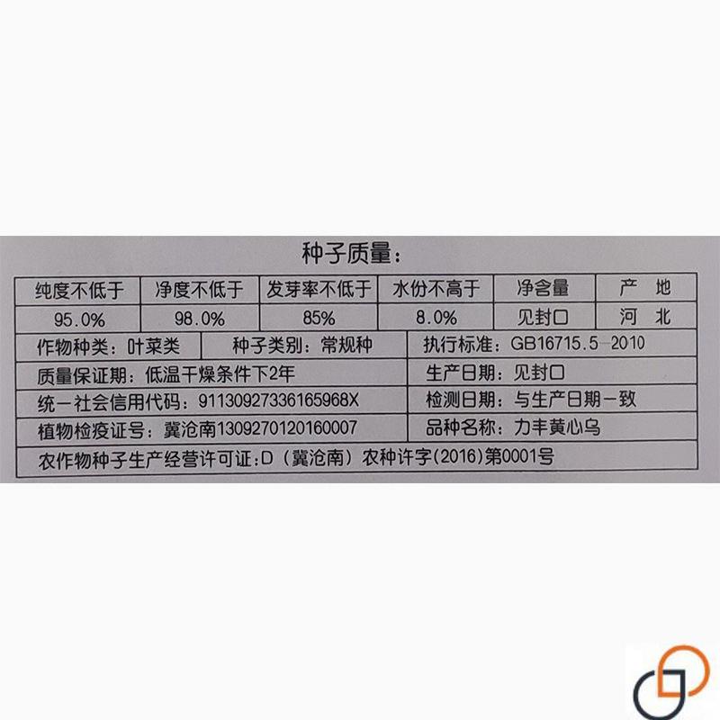 黄心乌菜种种子乌塌菜种籽四季白菜冬天青菜蔬菜孑黑菜秋冬季菜籽