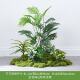 Simulated green plant landscaping moss fake plant decoration fake flower indoor tropical combination Persian window landscape grass arrangement