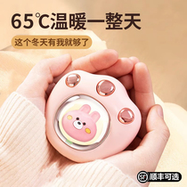 Cat Paw Warm Hand Baby Holding Style 2023 New Girl Warm Baby Birthday Gift Mini Carry-on Cute Cute Cute Cute Hot Water Bag Usb Winter Elementary School Kids Warm Hand Warming Thever