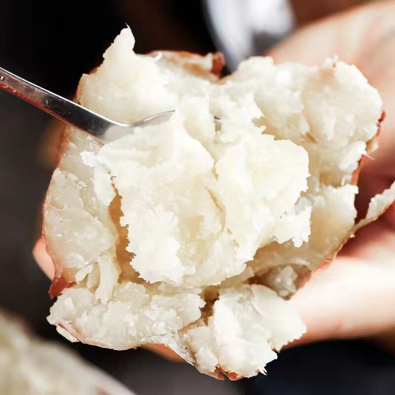 新鲜9斤红薯 鲜下粮仓番薯