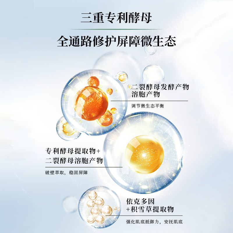 xdg精华乳油皮混油女益生菌乳酸菌 xdg乳液/面霜