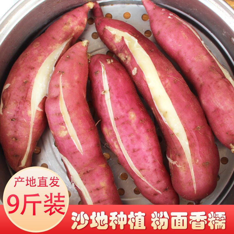 新鲜蜜薯农家香薯白心紫皮板栗红薯 邯府番薯