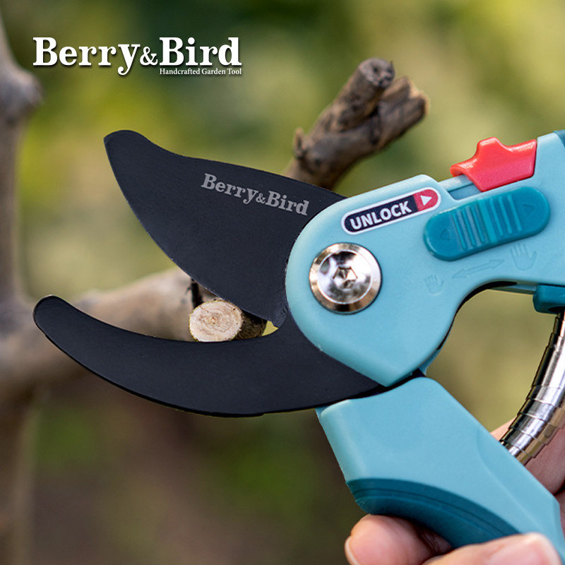 Berry&Bird园艺修枝剪刀花艺盆栽粗树枝剪子省力舒适插花盆景家用_虎窝淘