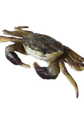 仿真螃蟹玻璃钢发光雕塑花蟹商场软装门头装饰小龙虾餐厅招牌摆件