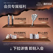INSBAHA原色波塔自然卷翘睫毛夹持久卷翘定型太阳花睫毛便携新手