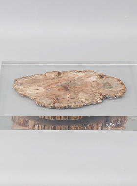 现代新中式木化石年轮托盘别墅民宿茶室茶几方形茶盘软装饰品摆件