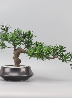 新中式庭院禅意仿真松树盆栽