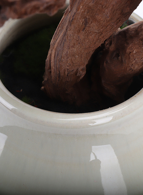 新中式风茶室别墅大堂会所罗汉松