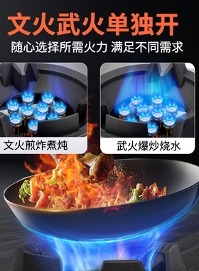 志高商用台式猛火燃气单灶新款