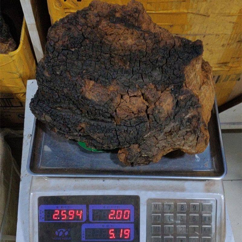 桦树茸整块桦树耳白桦白华茸白华蓉50茸茸斤耳茶桦树年5白桦龙,淘宝优惠券,粉丝福利购,淘宝优惠卷