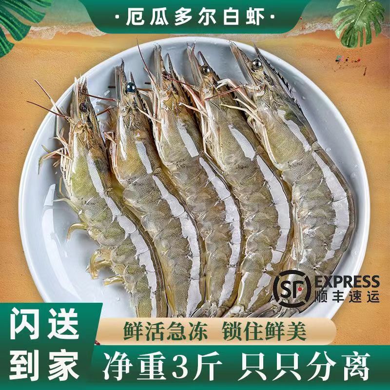 素盈坊 盐冻新鲜超大虾厄瓜多尔白虾 1400g 天猫优惠券折后￥69顺丰包邮（￥89-20）