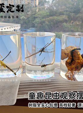 千玺定制实心树脂昆虫标本摆件