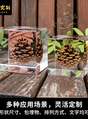 亚克力包埋松果干果树脂标本