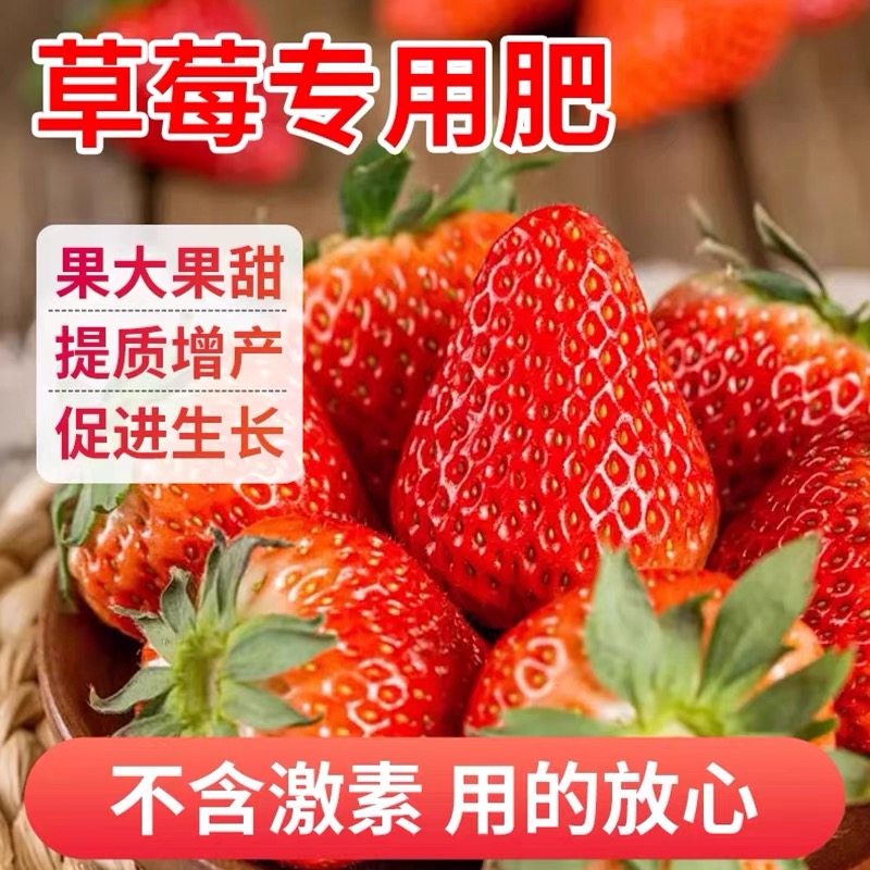 草莓专用肥料家用缓释肥盆栽有机肥复合肥开花结果平衡肥施肥化肥,淘宝优惠券,粉丝福利购,淘宝优惠卷