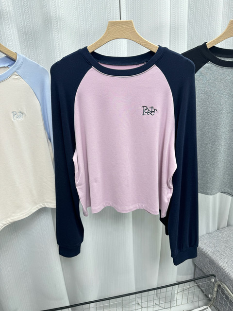 New for spring! Korean niche raglan sleeve T-shirt with color block letter embroidery round neck long-sleeved sweatshirt short top