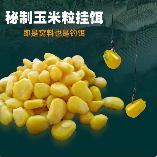 西部风玉米粒麦粒饵料窝料钓鱼打窝鲤鱼草鱼鳊鱼野钓水库钓饵1,淘宝优惠券,粉丝福利购,淘宝优惠卷