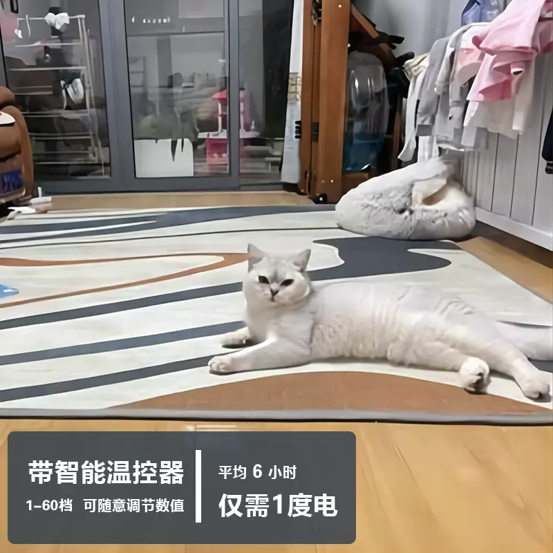 多恩石墨烯地暖垫碳晶电热地毯家用加热垫客厅地热垫移动发热地垫,淘宝优惠券,粉丝福利购,淘宝优惠卷