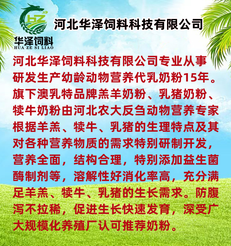 不拉稀羔羊奶粉兽用吃的羊用养殖专用喂小羊羔喝的全脂速溶代乳粉 - 图2