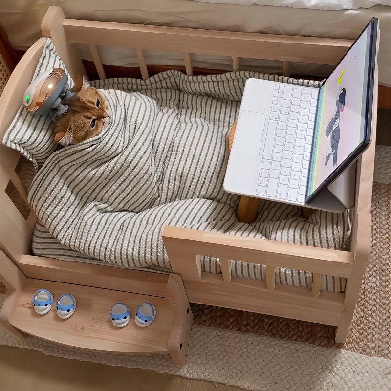 宠物猫咪充电迷你按摩仪电动头皮多功能揉捏理疗仪家用便携按摩器,淘宝优惠券,粉丝福利购,淘宝优惠卷