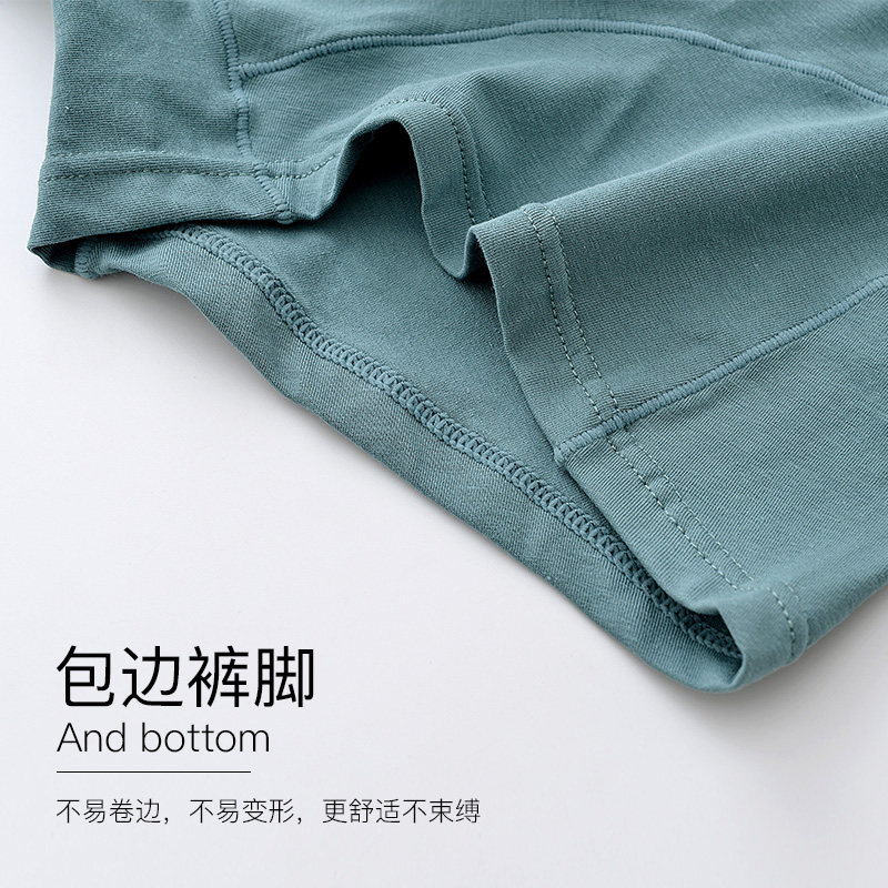 猫人纯棉抗菌平角四角裤青年短裤 猫人乾刚内裤