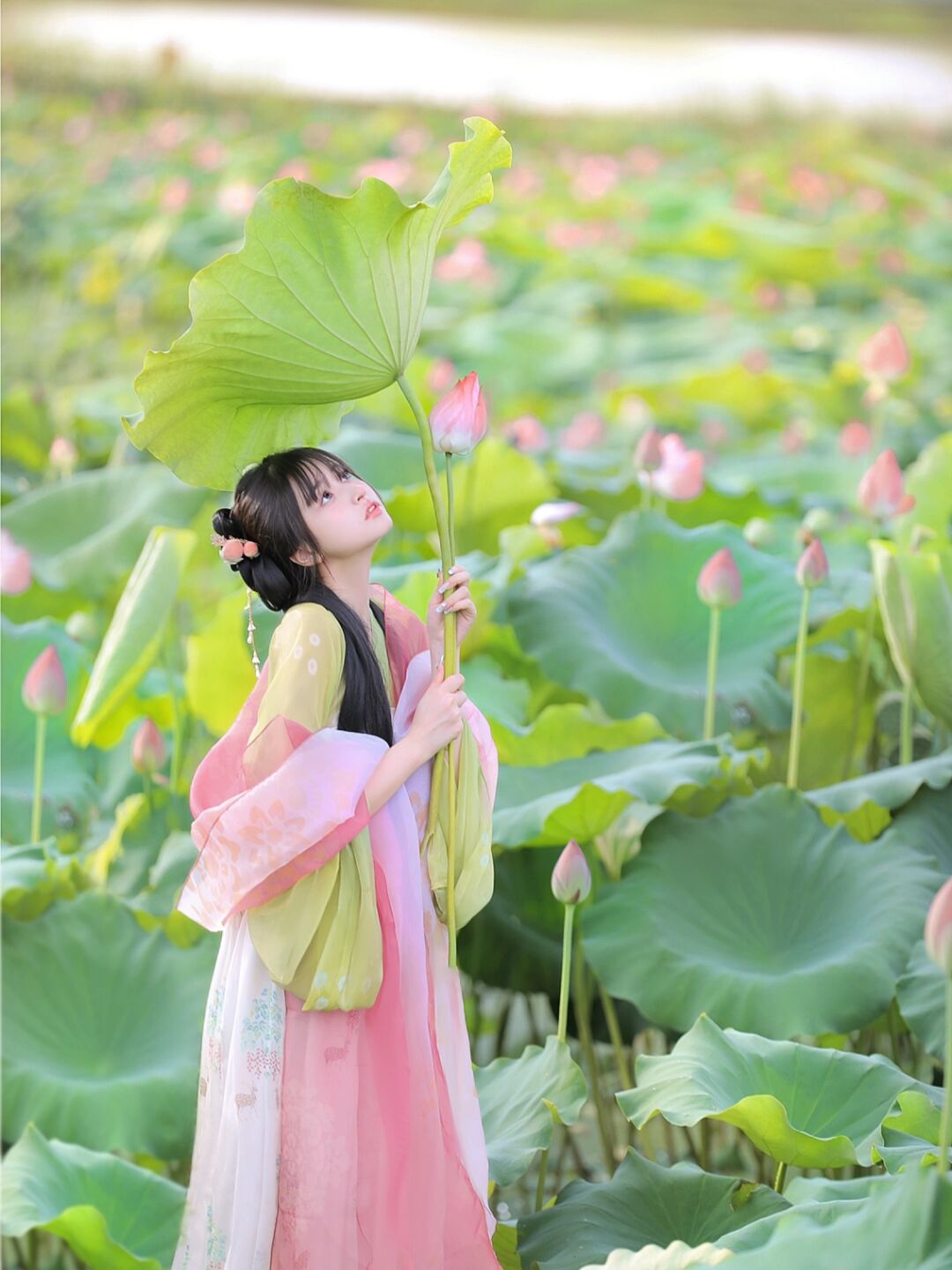 秋荷亲子汉服母女装中秋母子走秀唐代襦裙夏季荷花成人大童唐装-图2