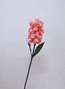 风信子干花家居卧室客厅餐桌装饰摆设艺术花影视道具花束风信子